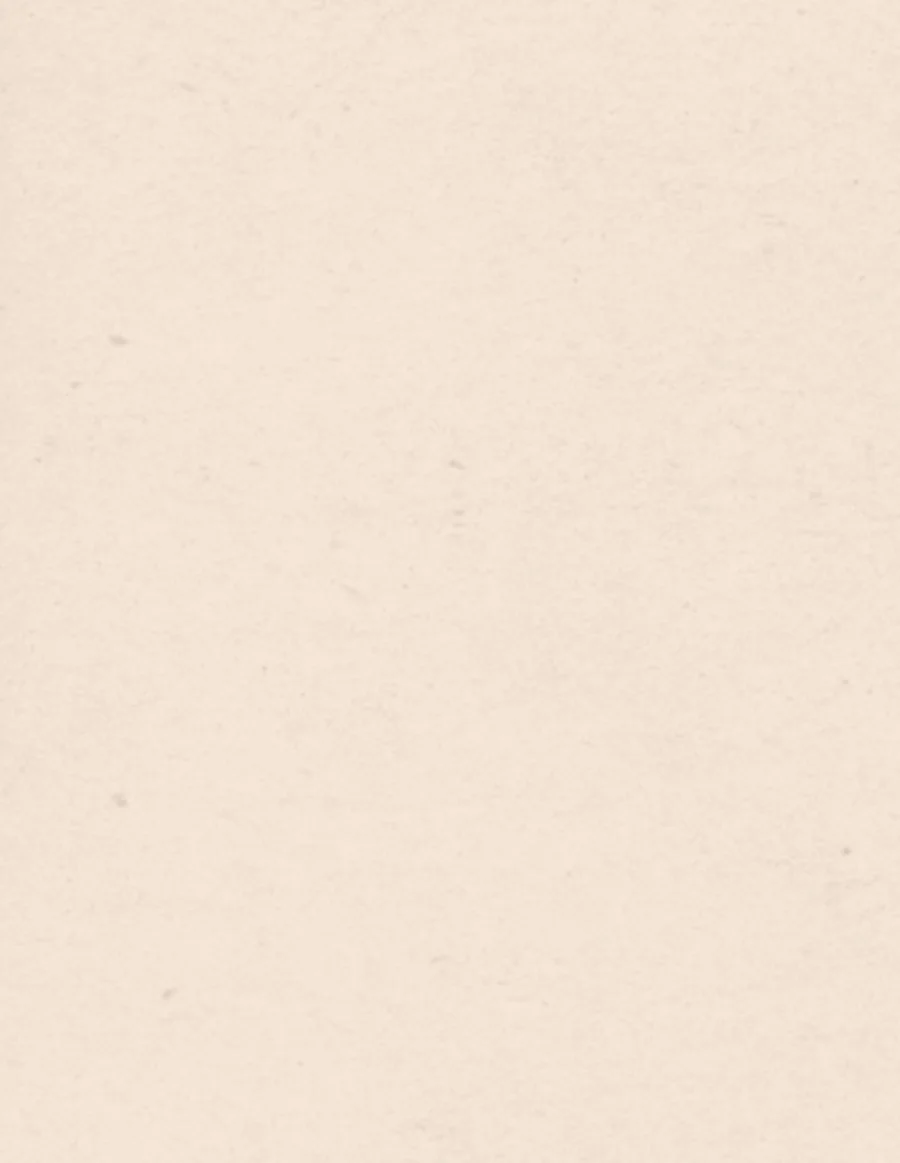 Fondo contador